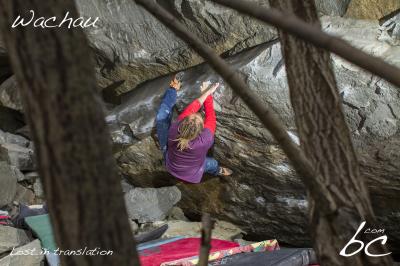 Thomas in "Lost in translation"